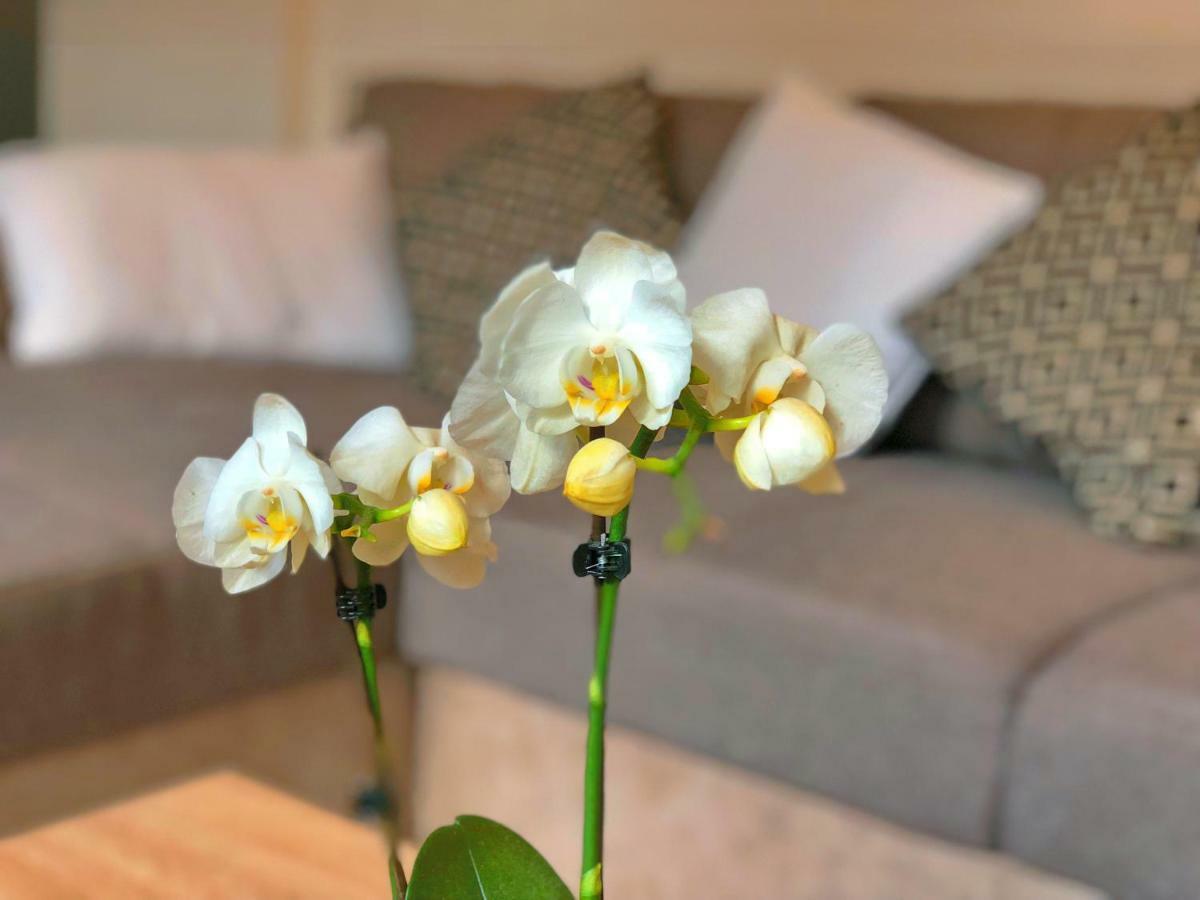רובייש Residence St-Martin מראה חיצוני תמונה