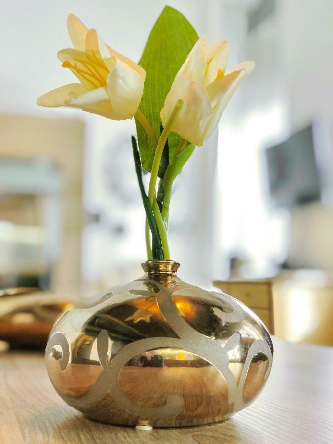 רובייש Residence St-Martin מראה חיצוני תמונה